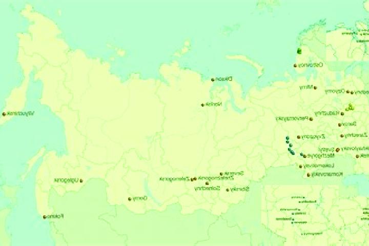 Aurora, 28 — Escort in Remontnoye, Russia