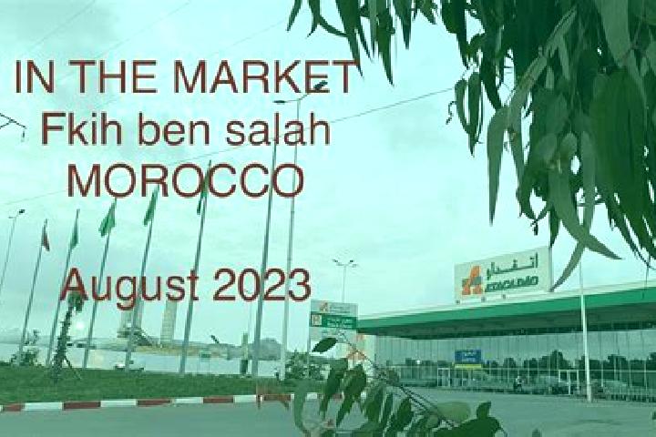 Aurora, 29 — Escort in Al Fqih Ben Calah, Morocco