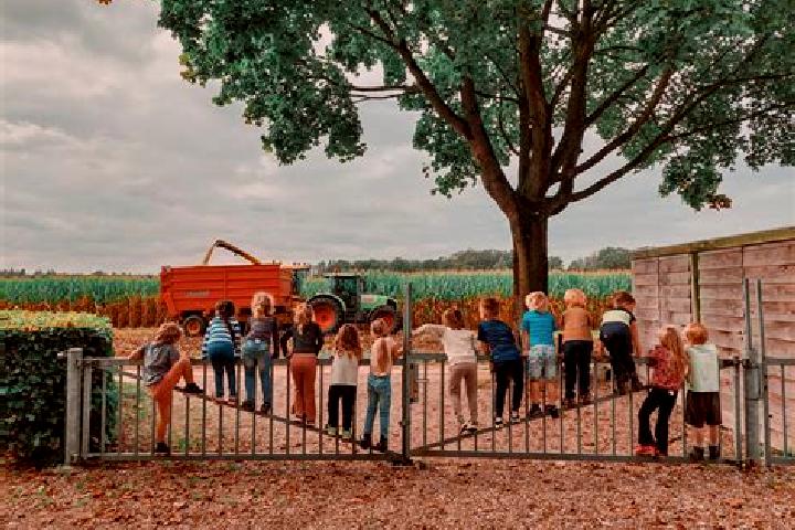 Aurora, 29 — Escort in Bleijerheide, Netherlands