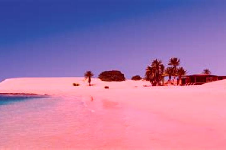 Aurora, 29 — Escort in Boa Vista, Brazil