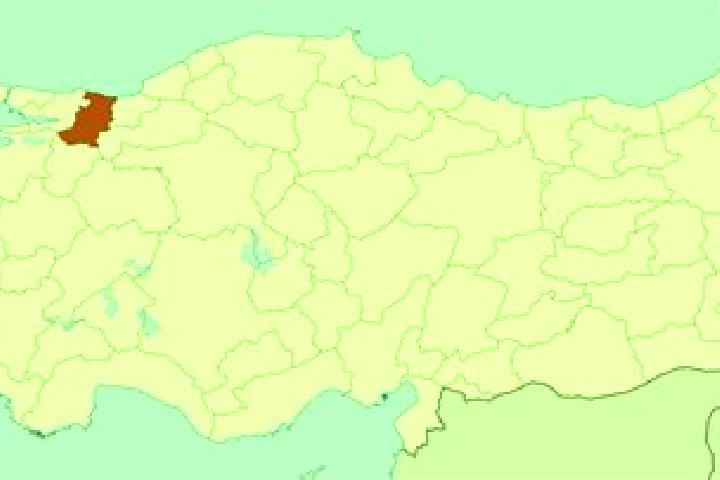 Aurora, 29 — Escort in Cihadiye, Turkey
