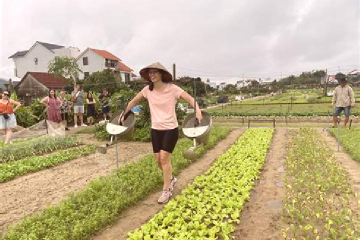 Aurora, 29 — Escort in Tra Que Vegetable Village, Vietnam