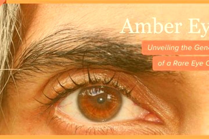 Aurora, 30, a dark blonde amber-eyed caribbean companion based in Bet Arye. Offering Fetish, Duos, 69, Overnight, Domination. Available for incall and outcal...