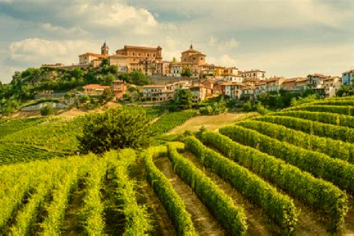 Aurora, 30 — Escort in Belvedere Langhe, Italy