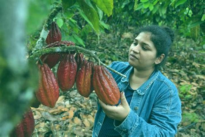 Aurora, 30 — Escort in Francisco J. Santamaria (Cacao), Mexico