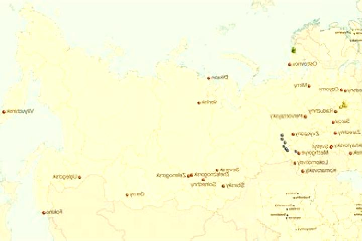 Aurora, 30 — Escort in Idrinskoye, Russia