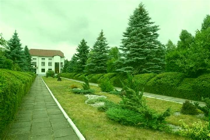 Aurora, 30 — Escort in Klesiv, Ukraine