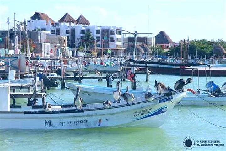 Aurora, 30 — Escort in Rio Lagartos, Mexico