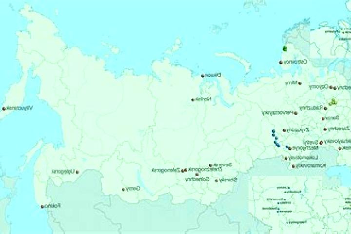Aurora, 30 — Escort in Vidnoye, Russia