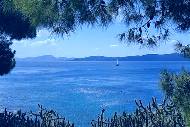 Aurora, 31 — Escort in Charopo, Greece