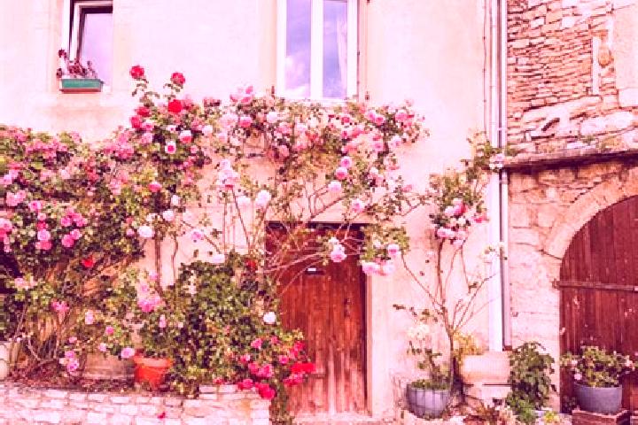 Aurora, 31 — Escort in Grignan, France