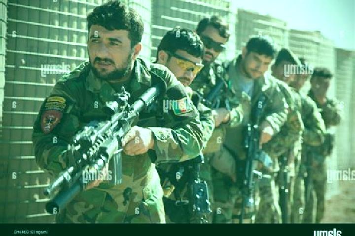 Aurora, 31 — Escort in Kajran, Afghanistan