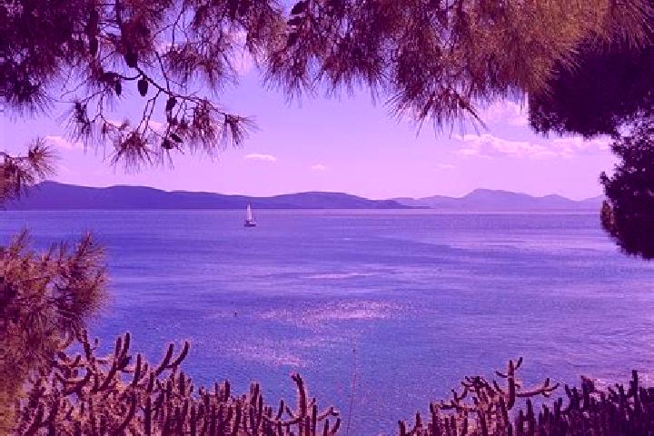 Aurora, 31 — Escort in Levaia, Greece