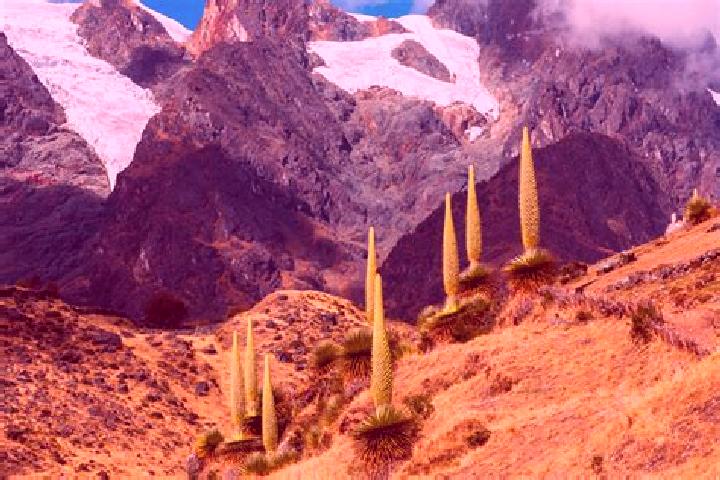 Aurora, 31 — Escort in Masma Chicche, Peru