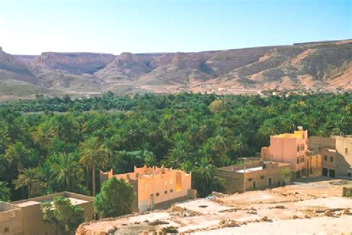 Aurora, 31 — Escort in Zagora, Morocco