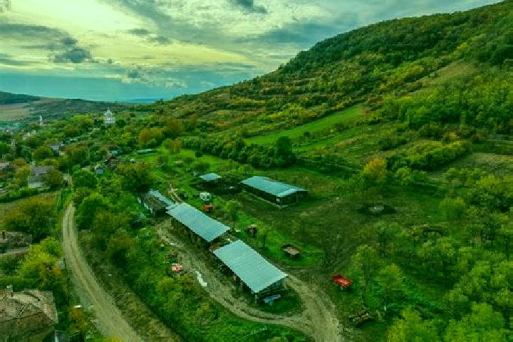 Aurora, 32 — Escort in Balomiru de Camp, Romania