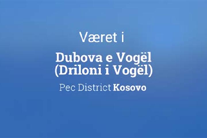 Aurora, 32 — Escort in Dubova (Driloni), Kosovo