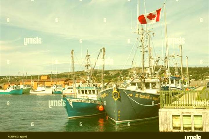 Aurora, 32 — Escort in Harbour Grace, Canada