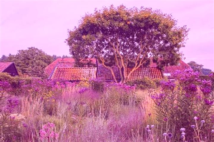 Aurora, 32 — Escort in Hummelo, Netherlands
