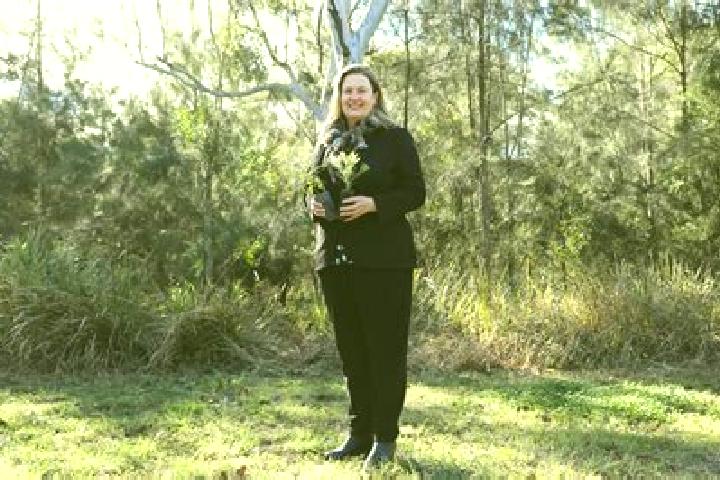 Aurora, 32 — Escort in North Ipswich, Australia