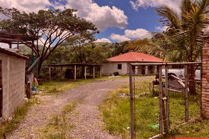 Aurora, 32 — Escort in Oropendolas, Honduras