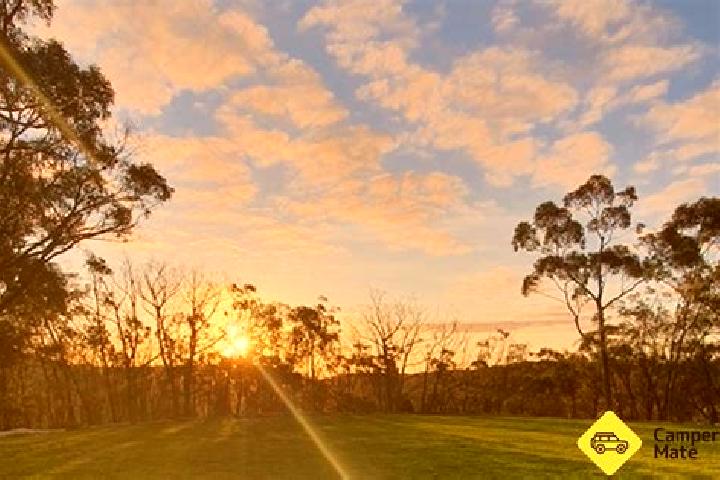 Aurora, 32 — Escort in Terry Hills, Australia