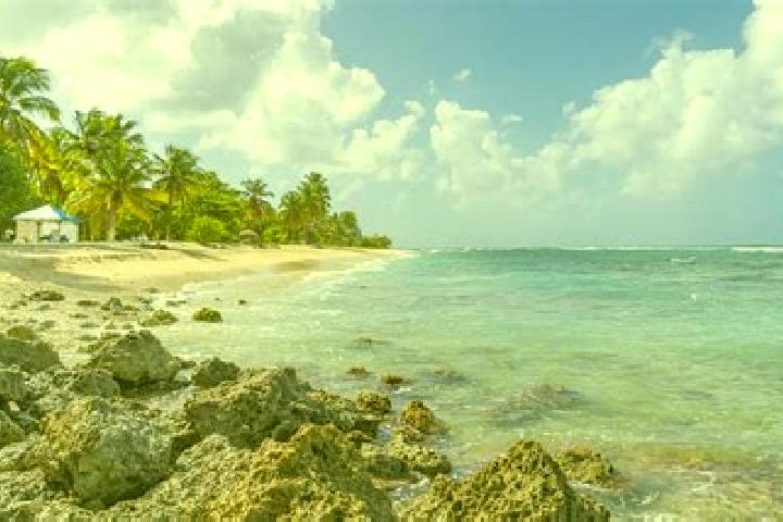 Aurora, 33 — Escort in Anse-Bertrand, Guadeloupe