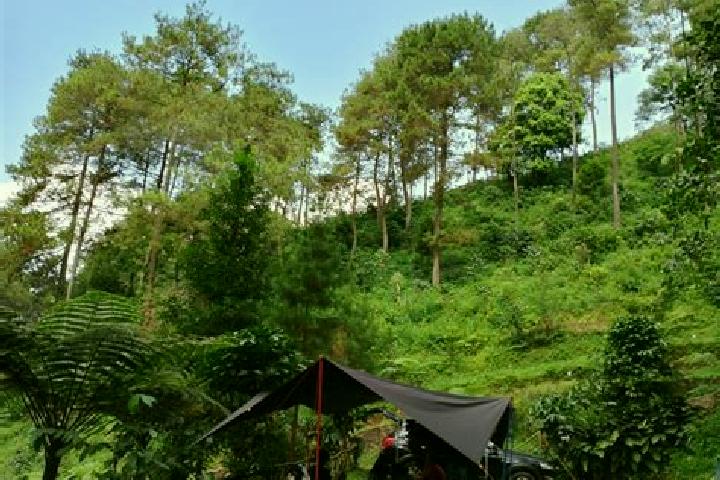 Aurora, 33 — Escort in Kampung Rimba, Brunei