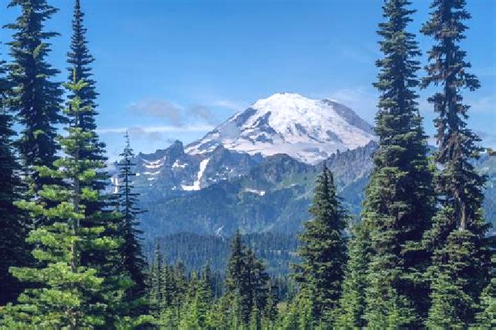 Aurora, 33 — Escort in Mount Rainier, United States