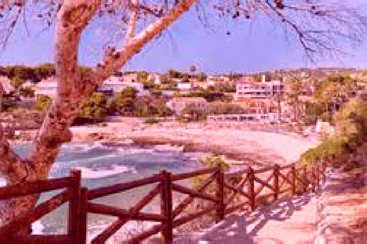 Aurora, 33 — Escort in Olocau, Spain