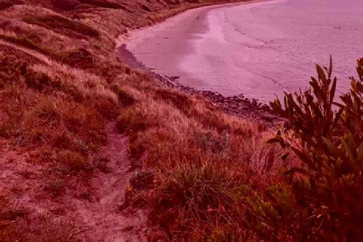 Aurora, 33 — Escort in Primrose Sands, Australia