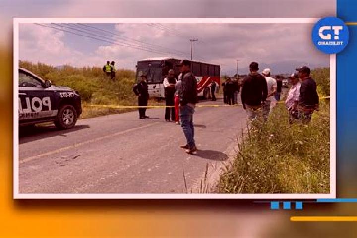 Aurora, 33 — Escort in Zoquiapa, Mexico