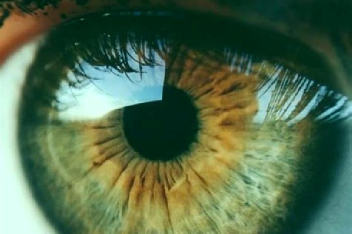 Aurora, 34, a dark blonde hazel-eyed ebony companion based in Tamins. Offering Couples, Duos, Tantra. Available for incall and outcall, overnight bookings av...