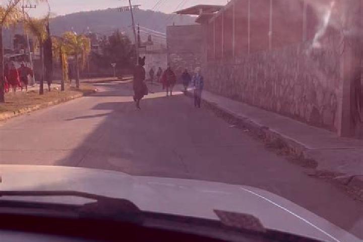 Aurora, 34 — Escort in Aporo, Mexico