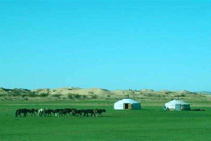 Aurora, 34 — Escort in Dundburd, Mongolia