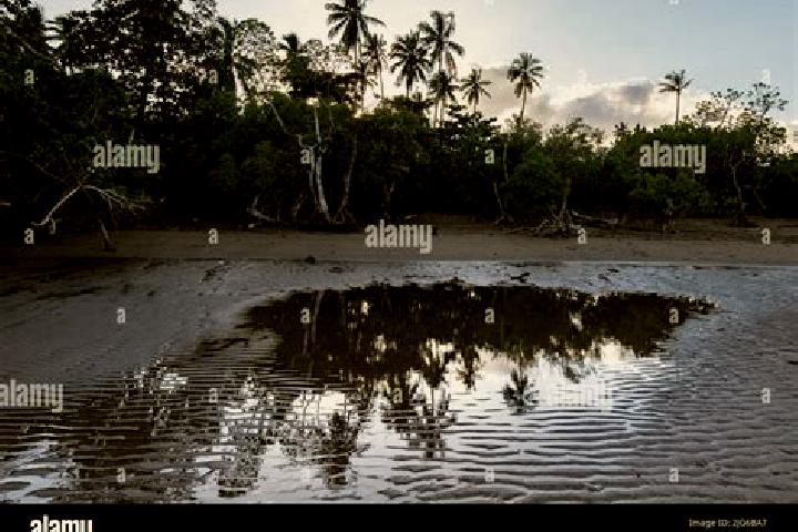 Aurora, 34 — Escort in Poroani, Mayotte