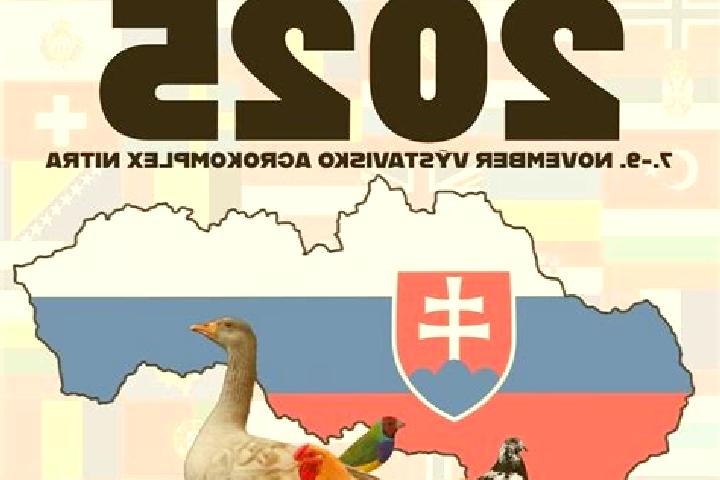 Aurora, 34 — Escort in Trencianska Turna, Slovakia