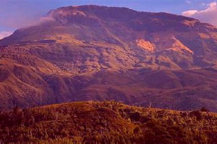 Aurora, 34 — Escort in Tsaratanana, Madagascar