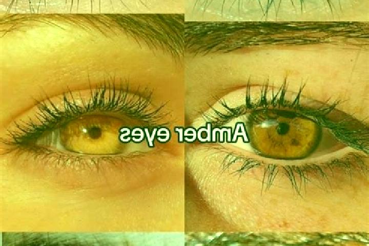 Aurora, 35, a chestnut amber-eyed asian companion based in Aurach. Offering Erotic Massage, Travel Companion, Striptease, CIM. Available for incall and outca...