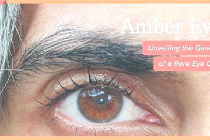 Aurora, 35, a red amber-eyed indian companion based in Hyeranyony. Offering Duos, Girlfriend Experience, Erotic Massage, Striptease. Available for incall and...
