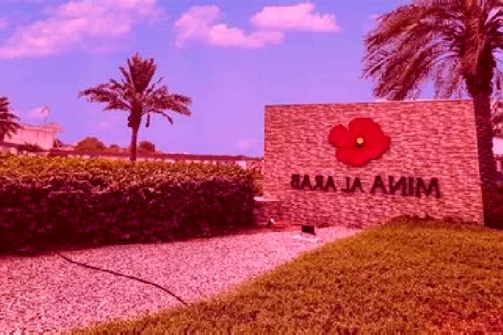 Aurora, 35 — Escort in Al Minshah, Egypt