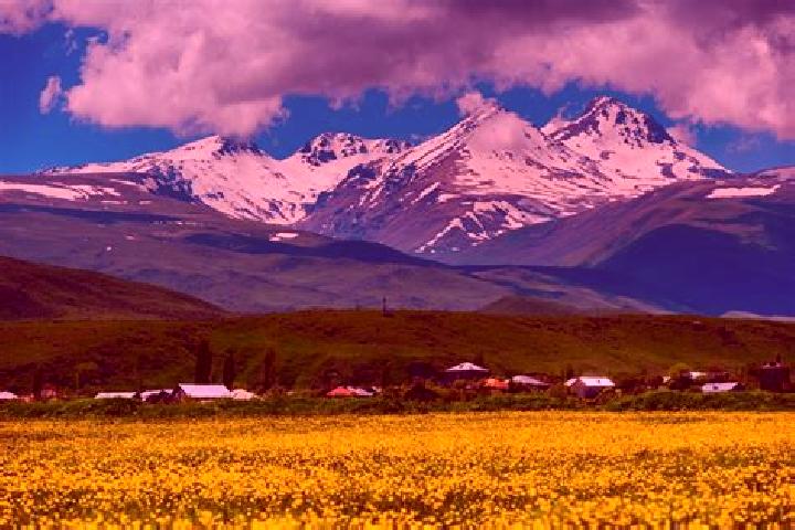 Aurora, 35 — Escort in Aragatsotn, Armenia