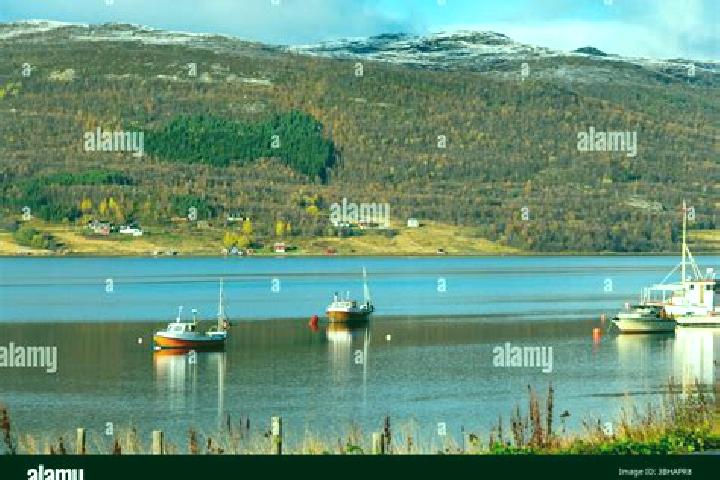 Aurora, 35 — Escort in Burfjord, Norway