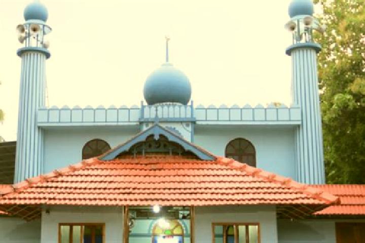 Aurora, 35 — Escort in Cherukunnu, India