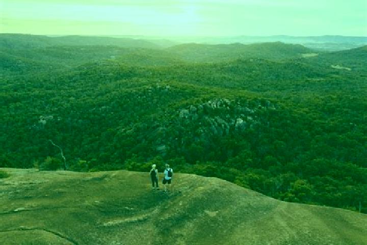 Aurora, 35 — Escort in Crows Nest, Australia
