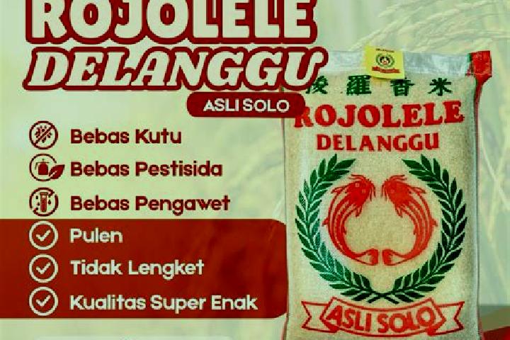 Aurora, 35 — Escort in Delanggu, Indonesia