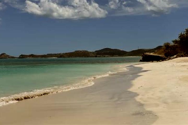 Aurora, 35 — Escort in Freetown, Antigua and Barbuda