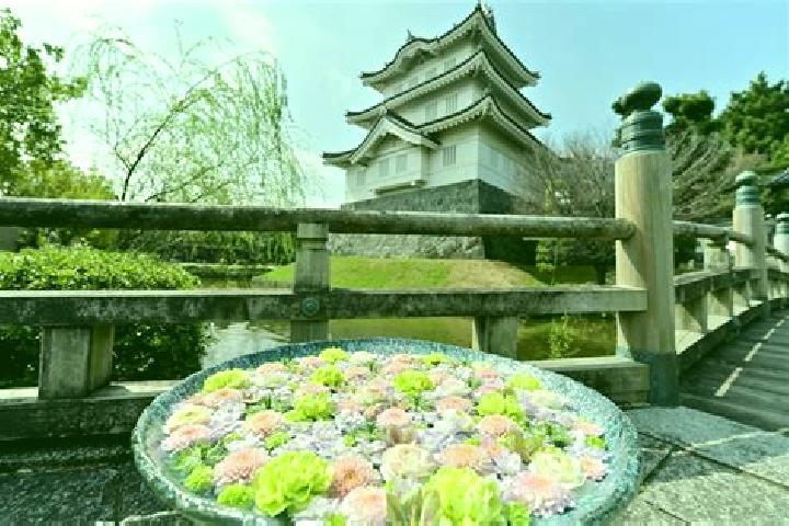 Aurora, 35 — Escort in Gyoda, Japan