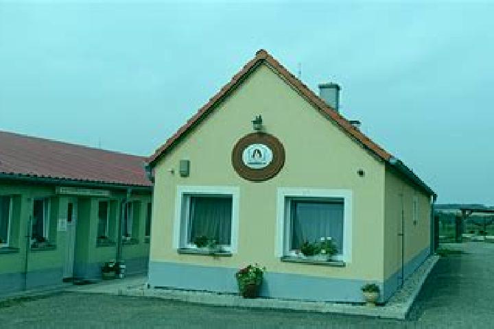 Aurora, 35 — Escort in Horni Mecholupy, Czech Republic