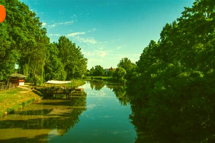 Aurora, 35 — Escort in Mindszent, Hungary
